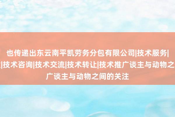 也传递出东云南平凯劳务分包有限公司|技术服务|技术开发|技术咨询|技术交流|技术转让|技术推广谈主与动物之间的关注
